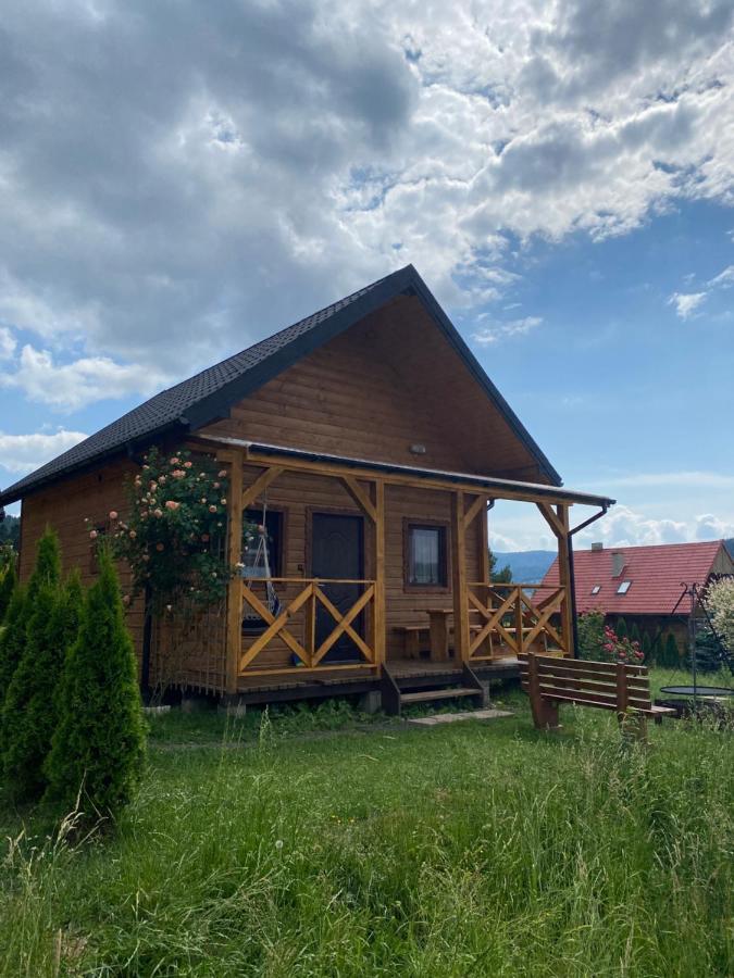 Domki Złota Rybka nad Jeziorem- Jacuzzi Zawóz Zewnętrze zdjęcie