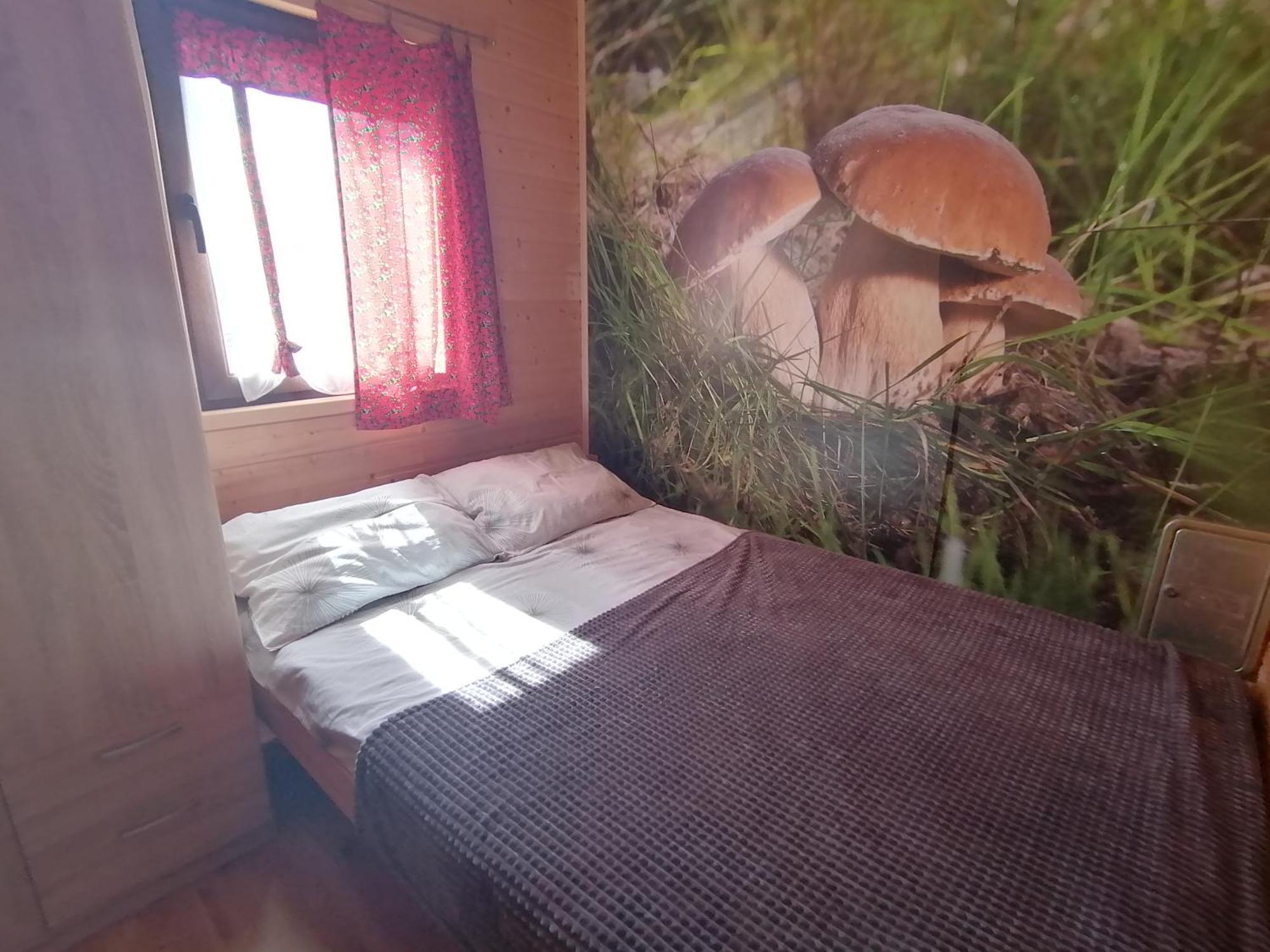 Domki Złota Rybka nad Jeziorem- Jacuzzi Zawóz Zewnętrze zdjęcie
