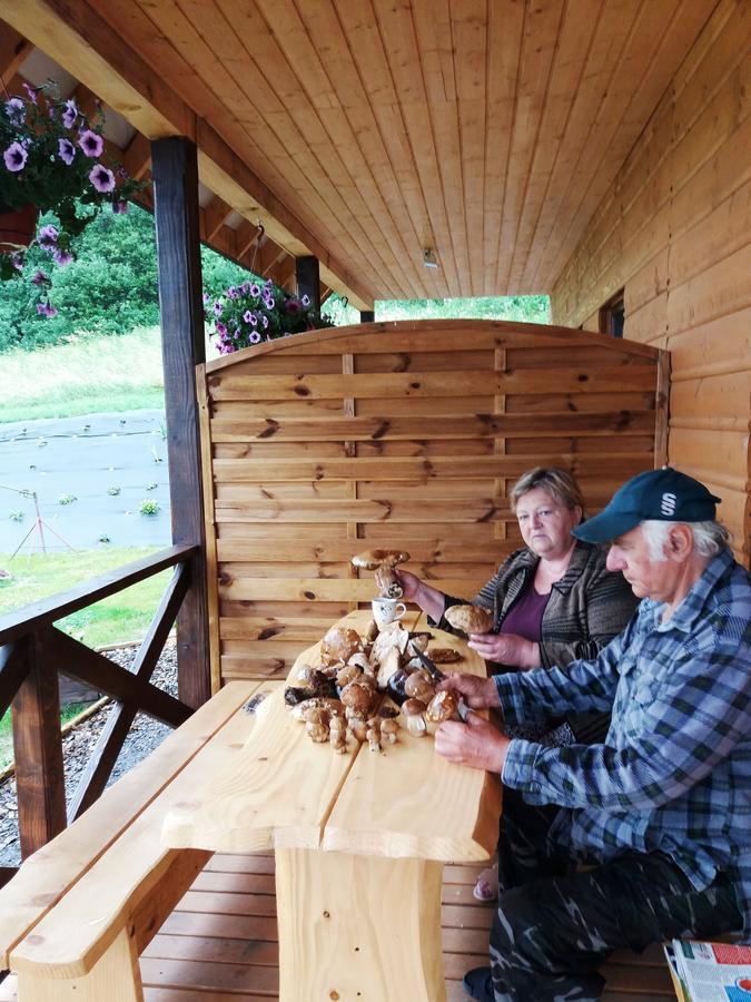 Domki Złota Rybka nad Jeziorem- Jacuzzi Zawóz Zewnętrze zdjęcie